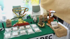 Avances en Investigación Agropecuaria en Nicaragua