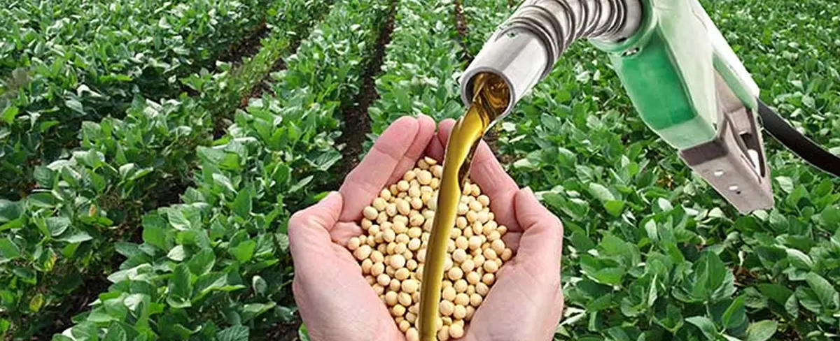 Bolivia equipará en octubre planta de aceite vegetal