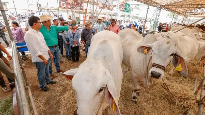 Feria Ganadera 2024 abrirá sus puertas este martes