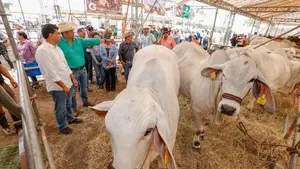 Feria Ganadera 2024 abrirá sus puertas este martes