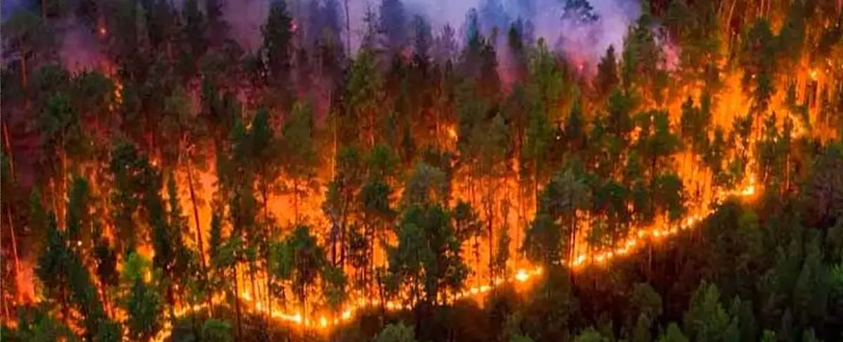 Canadá bajo calor y baja calidad del aire por incendios forestales
