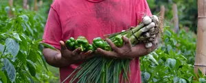 La Concepción: Tierra de cultivos que nutren la comunidad
