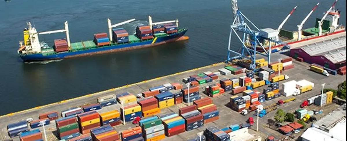 Intensificación portuaria recibiendo 9 buques por semana