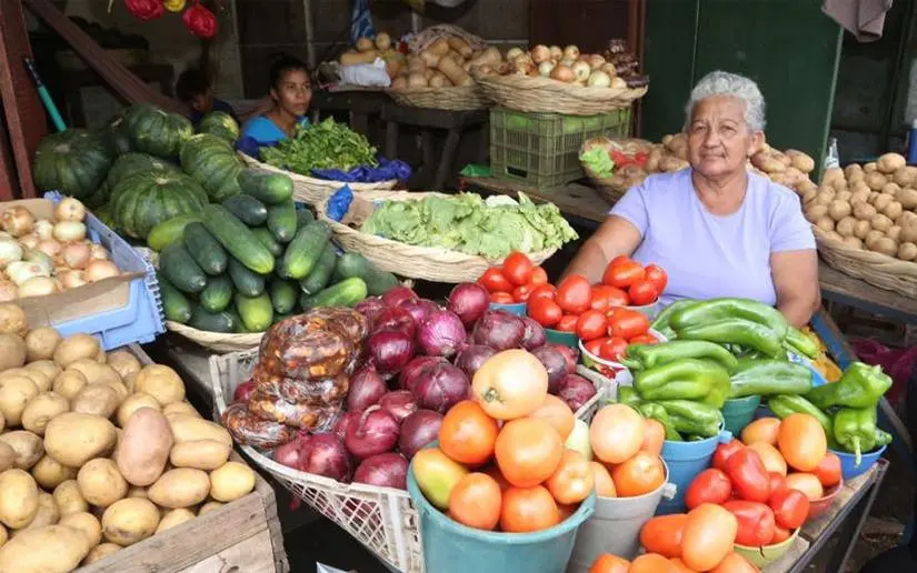 Estabilidad en el precio del arroz, frijoles y pollo destaca Mific