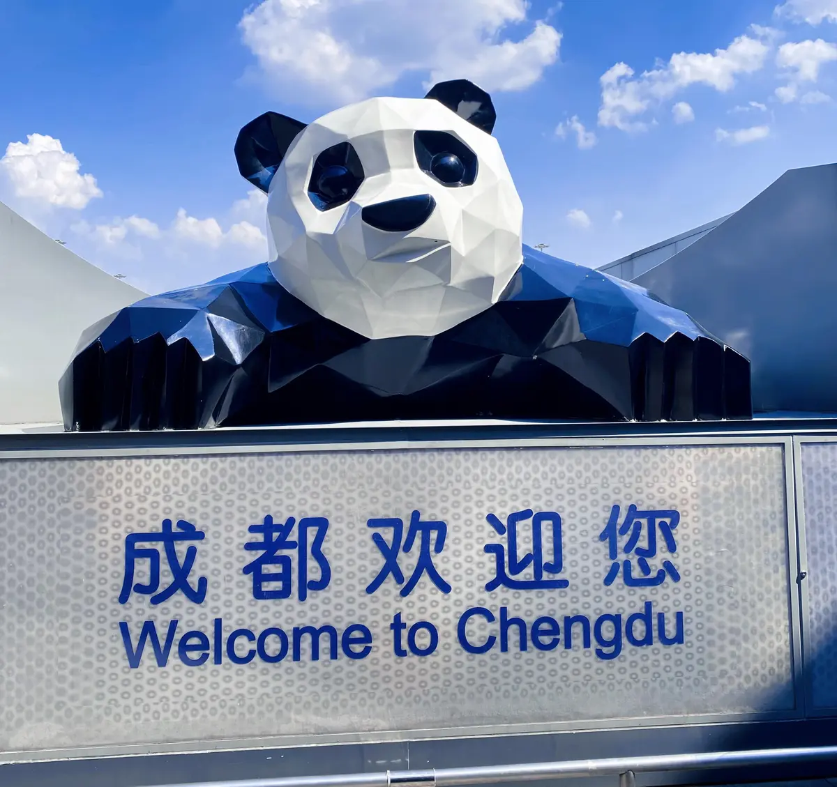 ¿Por qué China es tan protectora de los pandas?
