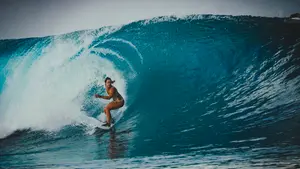 Pez Aguja atraviesa el pecho de famosa surfista, causándole la muerte