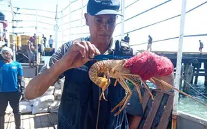 Inpesca refuerza la sostenibilidad pesquera con gira de monitoreo