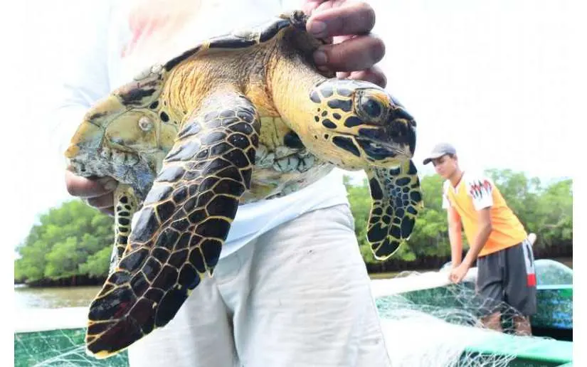 Nicaragua impulsa investigaciones científicas para proteger la biodiversidad