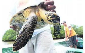 Nicaragua impulsa investigaciones científicas para proteger la biodiversidad