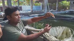 Acuicultores de Ometepe aprenden técnicas de cultivo de tilapias