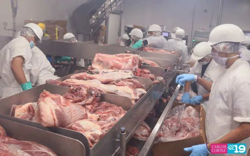 Nicaragua proyecta nueva era de exportación de carne bovina a China