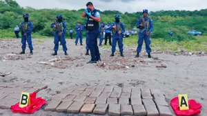 Golpe al narcotráfico: Ejército y Policía incautan 80 paquetes de cocaína