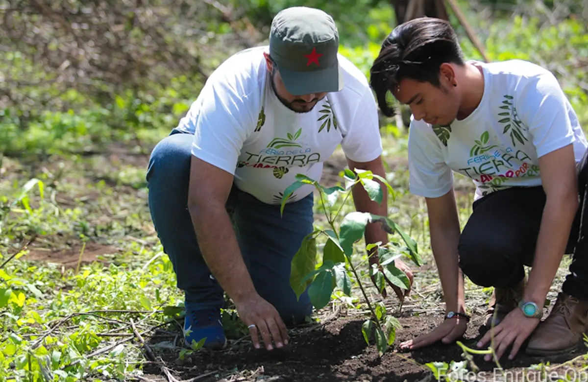 Reforestación de zonas hídricas para asegurar agua a familias nicaragüenses