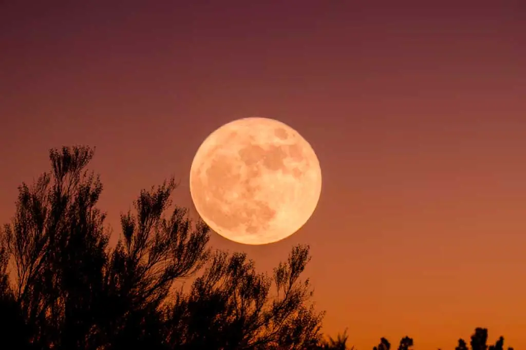Cuarta superluna de 2024 cierra el ciclo astronómico del año