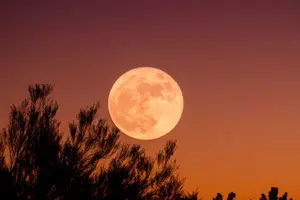 Cuarta superluna de 2024 cierra el ciclo astronómico del año