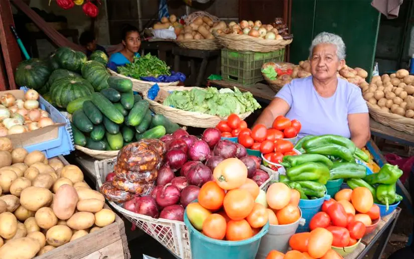 Precios del arroz, azúcar y aceite se mantienen estables en los mercados