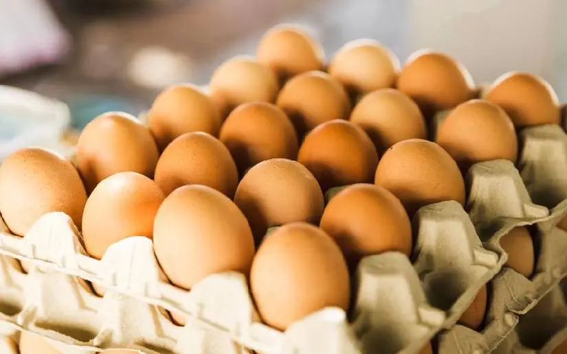 El huevo es un pilar en la dieta y economía nicaragüense