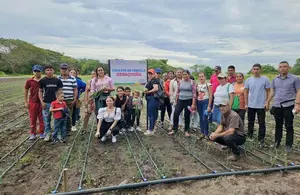 Productores fortalecen manejo de plagas en cebolla blanca en Matagalpa