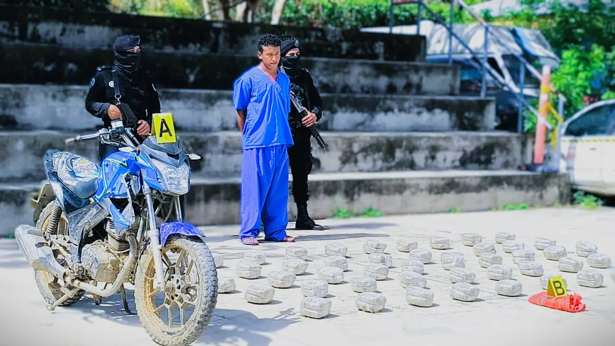 Policía Nacional incauta 99 libras de marihuana en Nueva Segovia