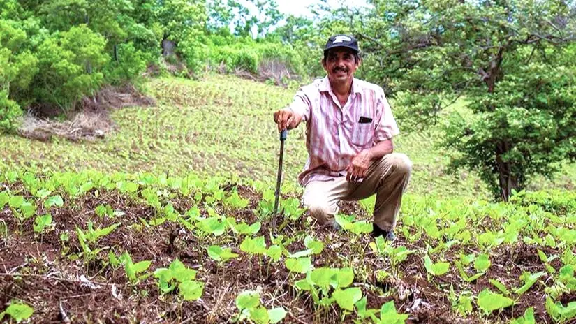 Ministerio Agropecuario fortalece la producción nacional
