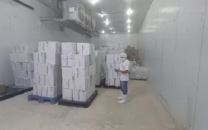 Fortalecen monitoreo de recursos pesqueros para asegurar su sostenibilidad