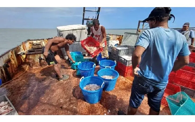 Inpesca verifica cumplimiento de normativas pesqueras en Bluefields