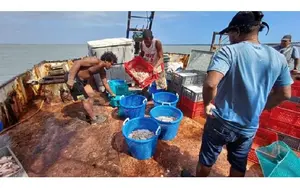 Inpesca verifica cumplimiento de normativas pesqueras en Bluefields