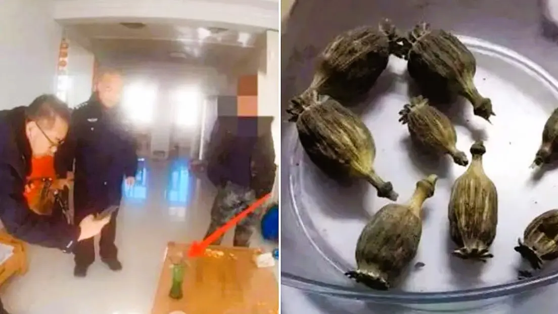 Niño castigado por no hacer sus tareas delata a sus padres por drogas