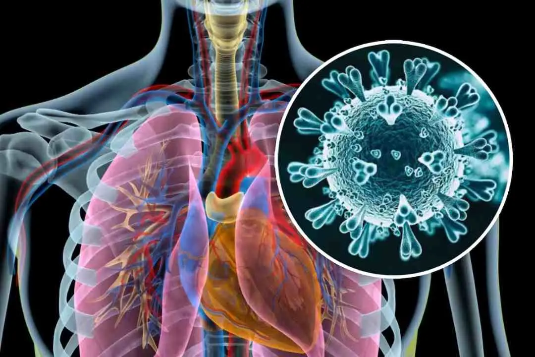 México mantiene vigilancia ante metapneumovirus, pero descarta alerta