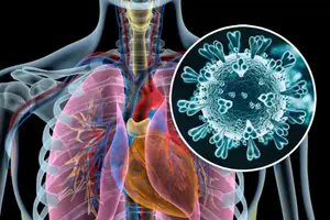 México mantiene vigilancia ante metapneumovirus, pero descarta alerta