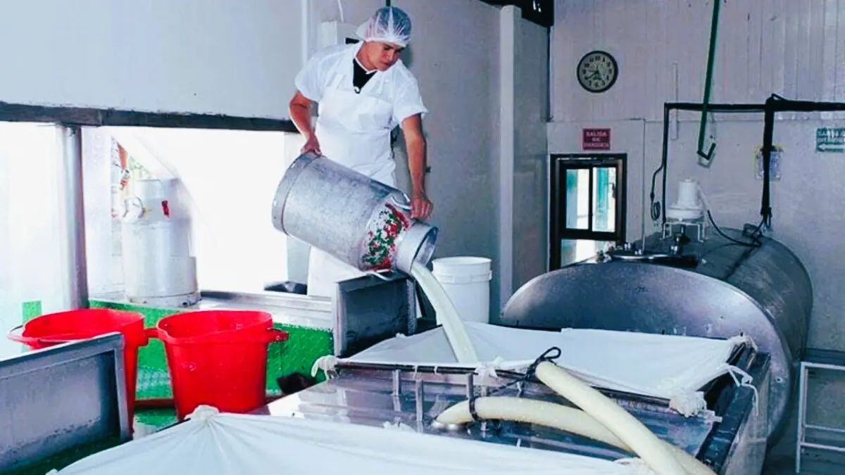 Producción nacional de leche supera los 380 millones de galones