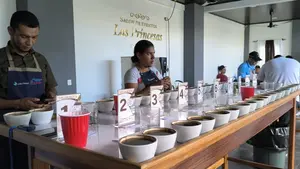 Taza Segoviana 2025: Inicia la fase final de catación