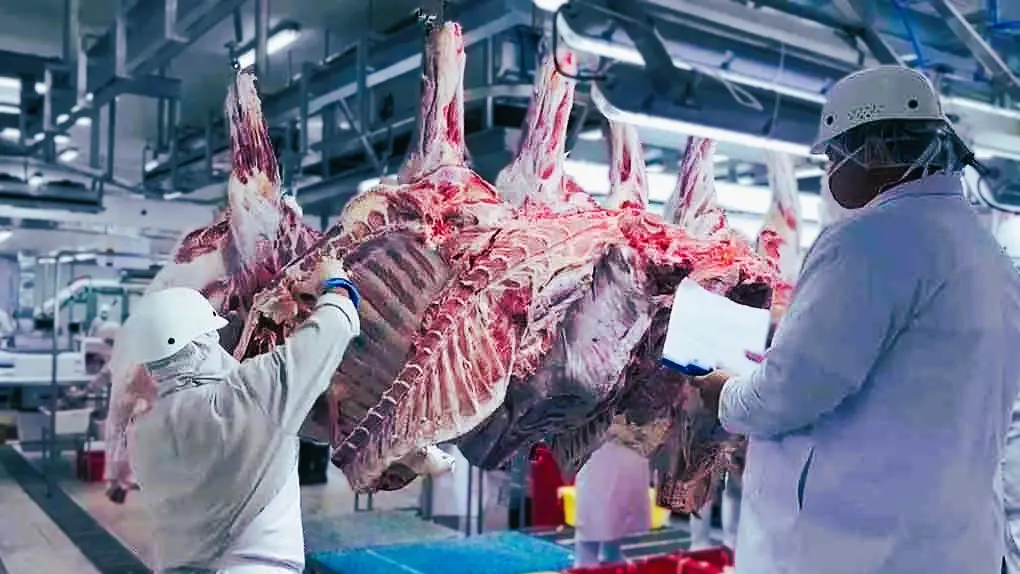 Nicaragua se consolida como líder en la exportación de carne bovina