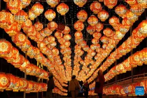 Año Nuevo Chino llega con festivales por el año de la Serpiente
