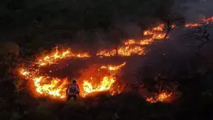 Incendios en Brasil en 2024 queman un área que supera el tamaño de Italia