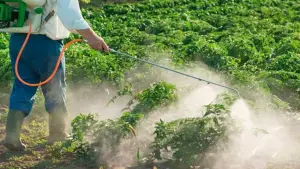 Fumigaciones con pesticidas afectan a familias campesinas en Brasil