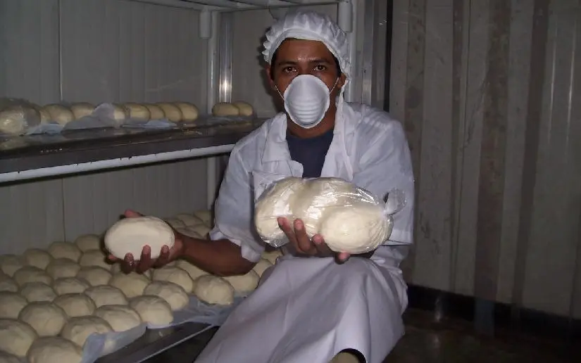 Producción nacional de lácteos aumenta con 11.3 Millones de libras de quesos