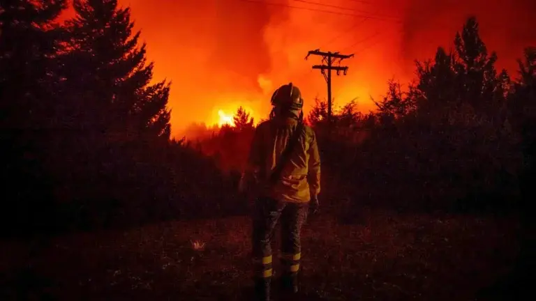 Destrucción en la Patagonia más de 40.000 hectáreas arrasadas por incendios