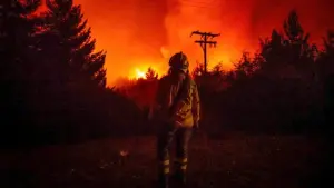Destrucción en la Patagonia más de 40.000 hectáreas arrasadas por incendios
