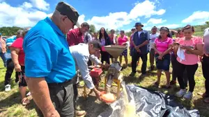 INTA impulsa mayor rendimiento en cultivos de arroz