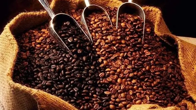 Guatemala exporta más de 4 millones de quintales de café