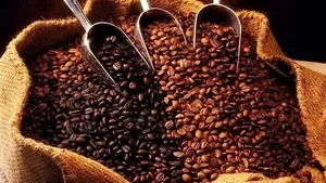 Guatemala exporta más de 4 millones de quintales de café