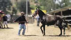 El Jícaro celebra 21 años de su exitosa Feria Ganadera