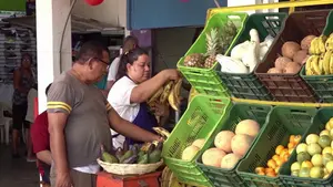 Precios de la canasta básica se mantienen estables, con bajas significativas