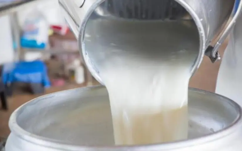 Sector lácteo de Nicaragua procesa 29.7 millones de galones de leche
