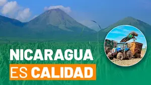 Vigilancia fitosanitaria asegura calidad en la exportación de Azúcar
