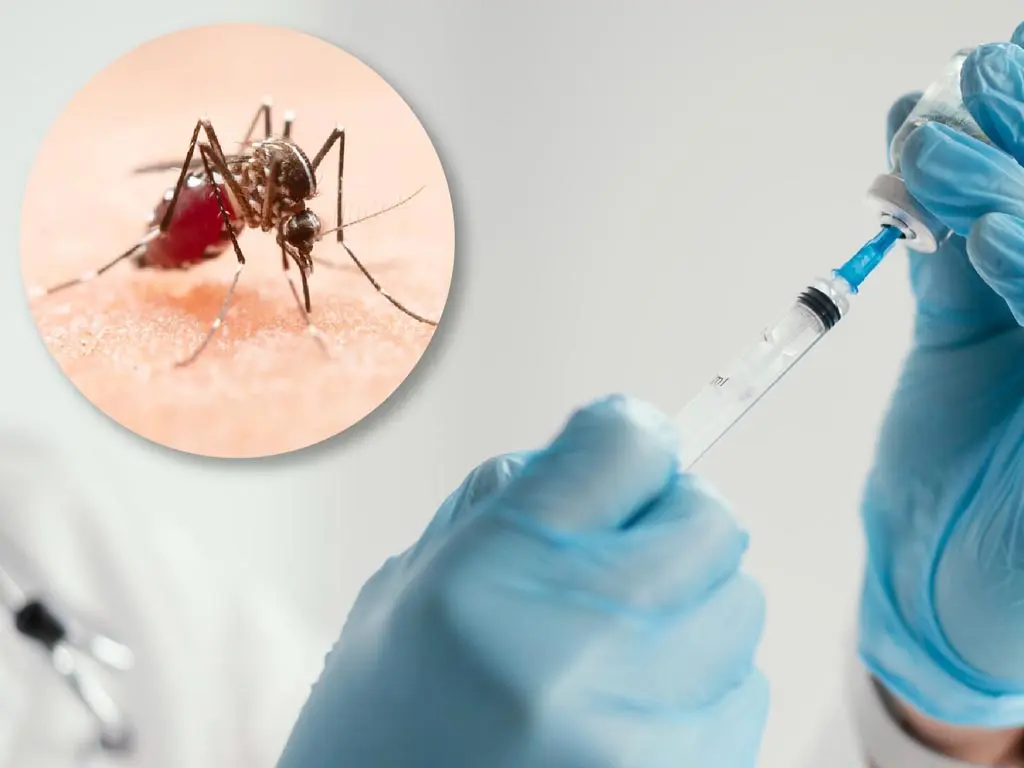 Aumento de casos de dengue en El Salvador pone en alerta a autoridades médicas