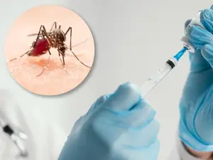 Aumento de casos de dengue en El Salvador pone en alerta a autoridades médicas