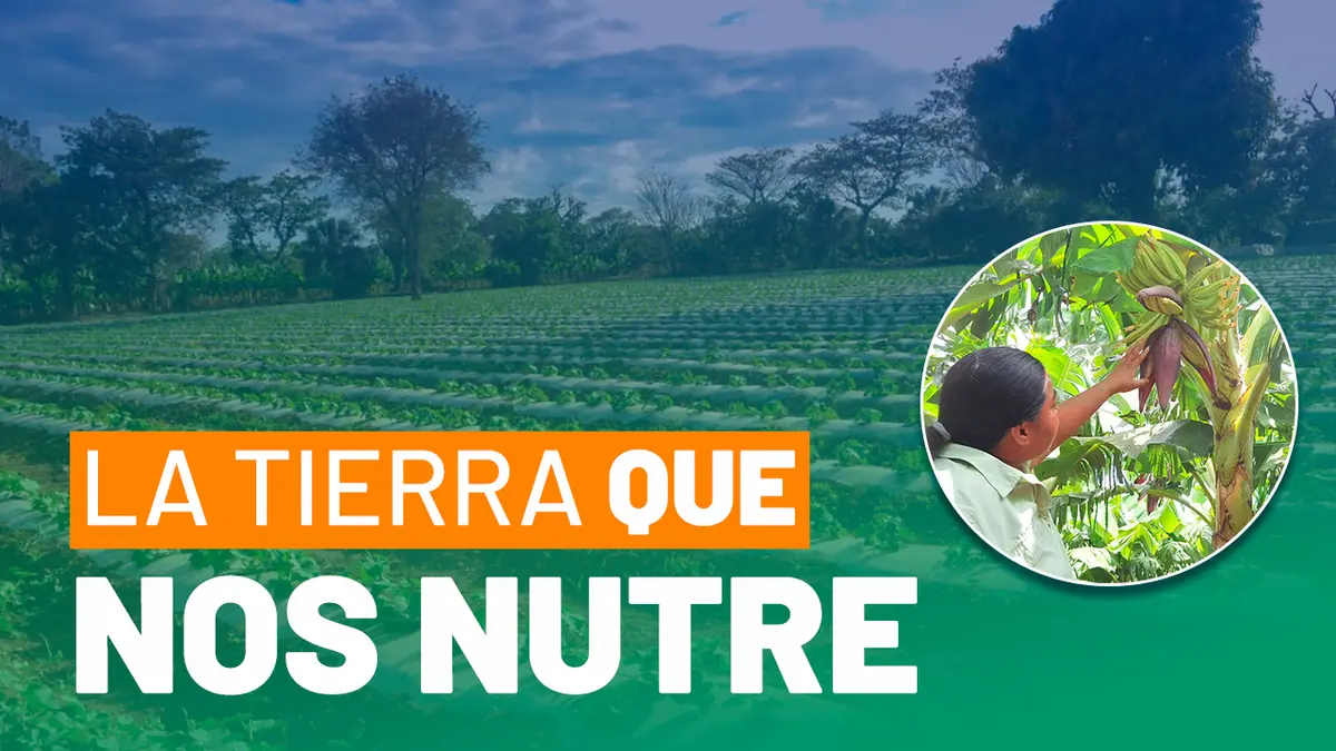 Tisma se consolida como motor de Producción Agrícola