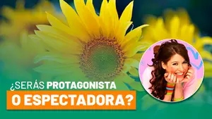 Cada 21 de marzo, regalar flores amarillas se convierte en un acto de amor